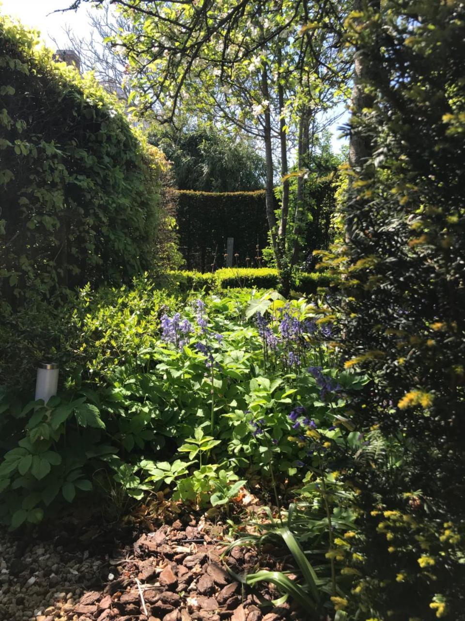 B&B De Tuinkamer Knokke-Heist Eksteriør billede